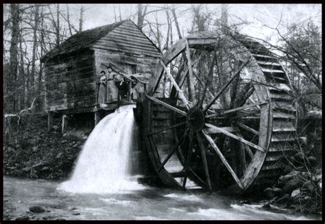 The Water Wheel Steal/We Got The Tweet 2025 Online Free
