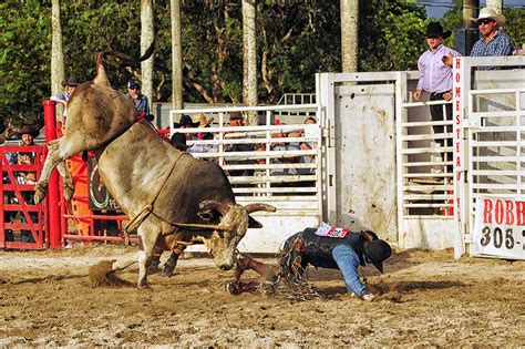 The Aracade Raid/Homestead Stampede 2025 𝚆𝚊𝚝𝚌𝚑 Online With No Cost
